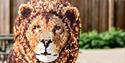 The Great Big Brick Safari at Paignton Zoo
