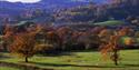 Lustleigh, Dartmoor - landscape views