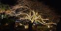 Bay of Lights Illumination Trail, part of Bay of Lights, Torquay, Devon