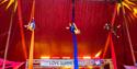 Circus Fun