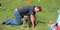 Harberton Dog Show