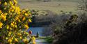 Meldon Reservoir