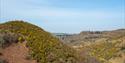 Meldon Viaduct