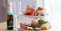 Mother's Day Afternoon Tea at Living Coasts