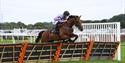 Newton Abbot Racecourse - Padded Hurdles