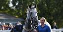 Newton Abbot Racecourse - Parade Ring Grey