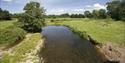 The River Otter, Ottery St Mary