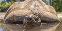 Paignton Zoo