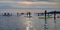 The Great Paddle Parade, English Riviera, Devon