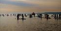 The Great Paddle Parade, English Riviera, Devon