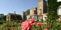 Powderham Castle gardens in summer