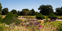 Powderham Castle