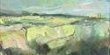 Across the Moor