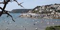 Salcombe from Snapes Point