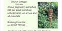 Bird feeder workshop