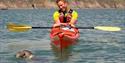 Seal and kayak