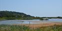 Seaton Wetland landscape