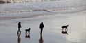 People on Sidmouth Town Beach