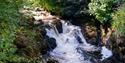 South Brent Lydia Bridge Waterfall