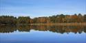 Stover Country Park lake with trees in the background