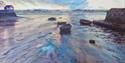 Sunset Estuary