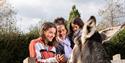 the donkey sanctuary