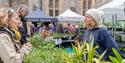 Toby's Garden Festival plant stall