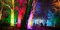 Christmas Trail at Killerton