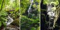 Canonteign Falls - Visit South Devon