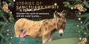 donkey sanctuary winter trail activity