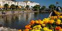 Dawlish Brook with Flowers