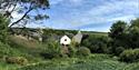 Wildlife pond at Dittiscombe Estate & Cottages South Devon