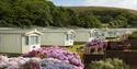 Bovisand Lodge Holiday Park view with beach behind you