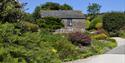 Dittiscombe