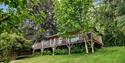 Dog Friendly Cottages