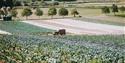 Darts Farm shopping village in Topsham, Devon, a farm-based retail and dining destination.