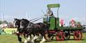 Horses (c) Devon County Show Credit: Geoff & Tordis Pagotto