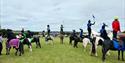 Dartmoor Hill Pony Display Team