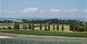 Darts Farm shopping village in Topsham, Devon, a farm-based retail and dining destination.