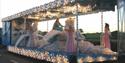 South Brent Carnival