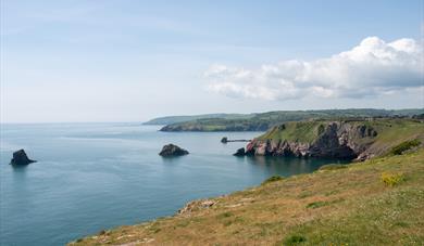 Berry Head