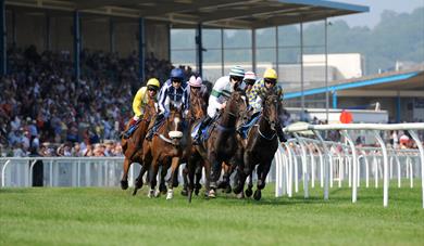 Racing at Newton Abbot Racecourse