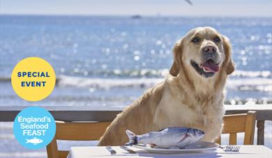Sea Dogs at Shoreline, England's Seafood FEAST
