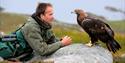 01_john-waters-copyright-lloyd-and-tilly-golden-eagle