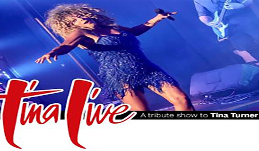 Tina Live - A Tribute to Tina Turner