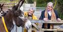 Donkey Sanctuary Group Travel