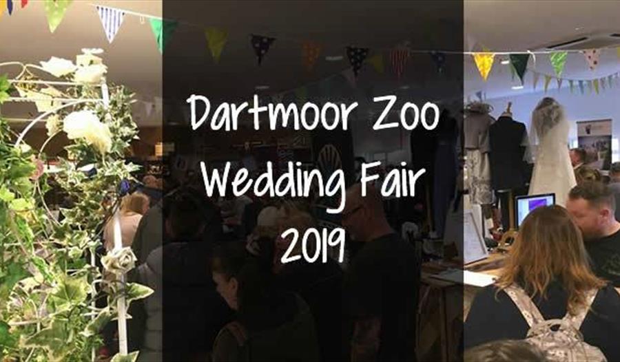 Dartmoor Zoo Wedding Fair 2019