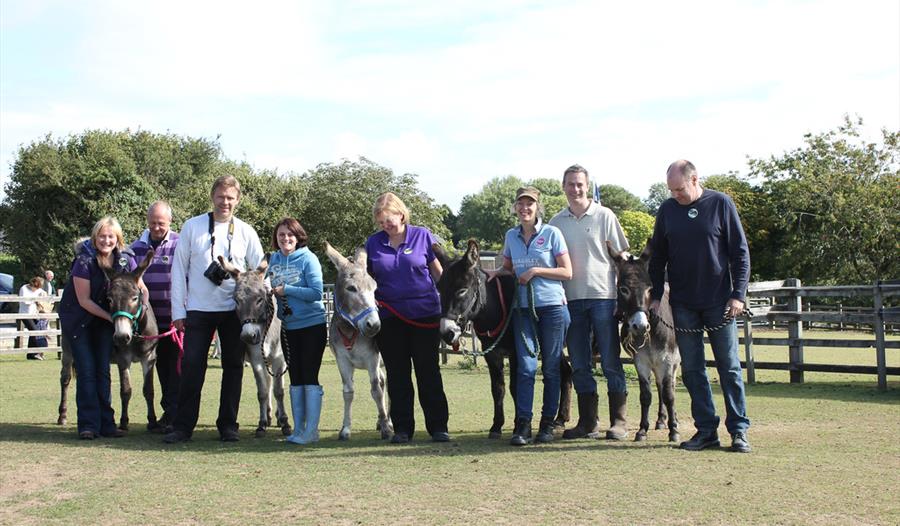 Group enjoy All Things Donkey experience