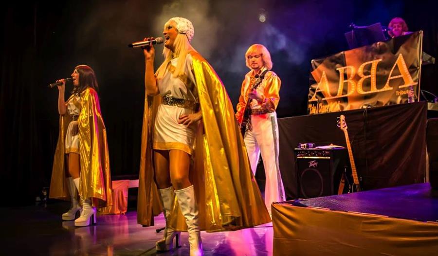ABBA Tribute 'Take A Chance On Us'
