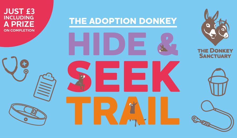 Can you find the items the loveable adoption donkeys have hidden around the sanctuary